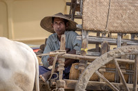 Myanmar Cart Driver